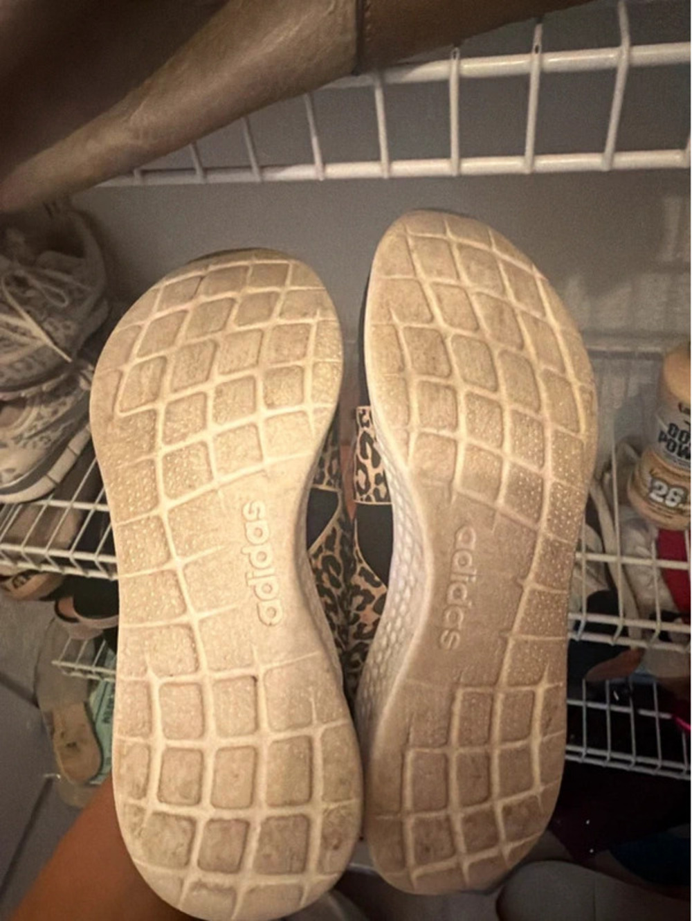 Leopard Addidas - Picture 5 of 5